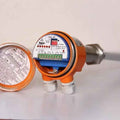 LSV-HAN-T1-S6-G4-PB2-C4-EIUD-D2-L200